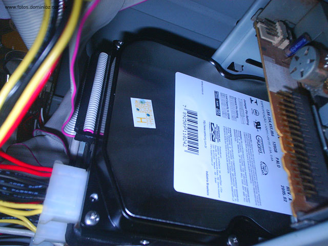 S3010049.jpg