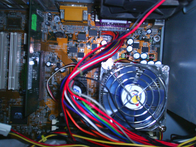 S3010052.jpg