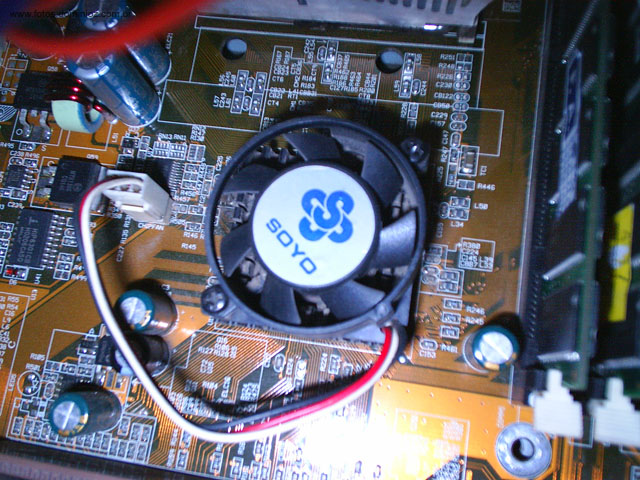 S3010080.jpg
