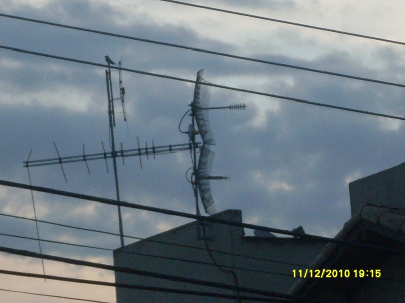 2010-12-11 19:15:47