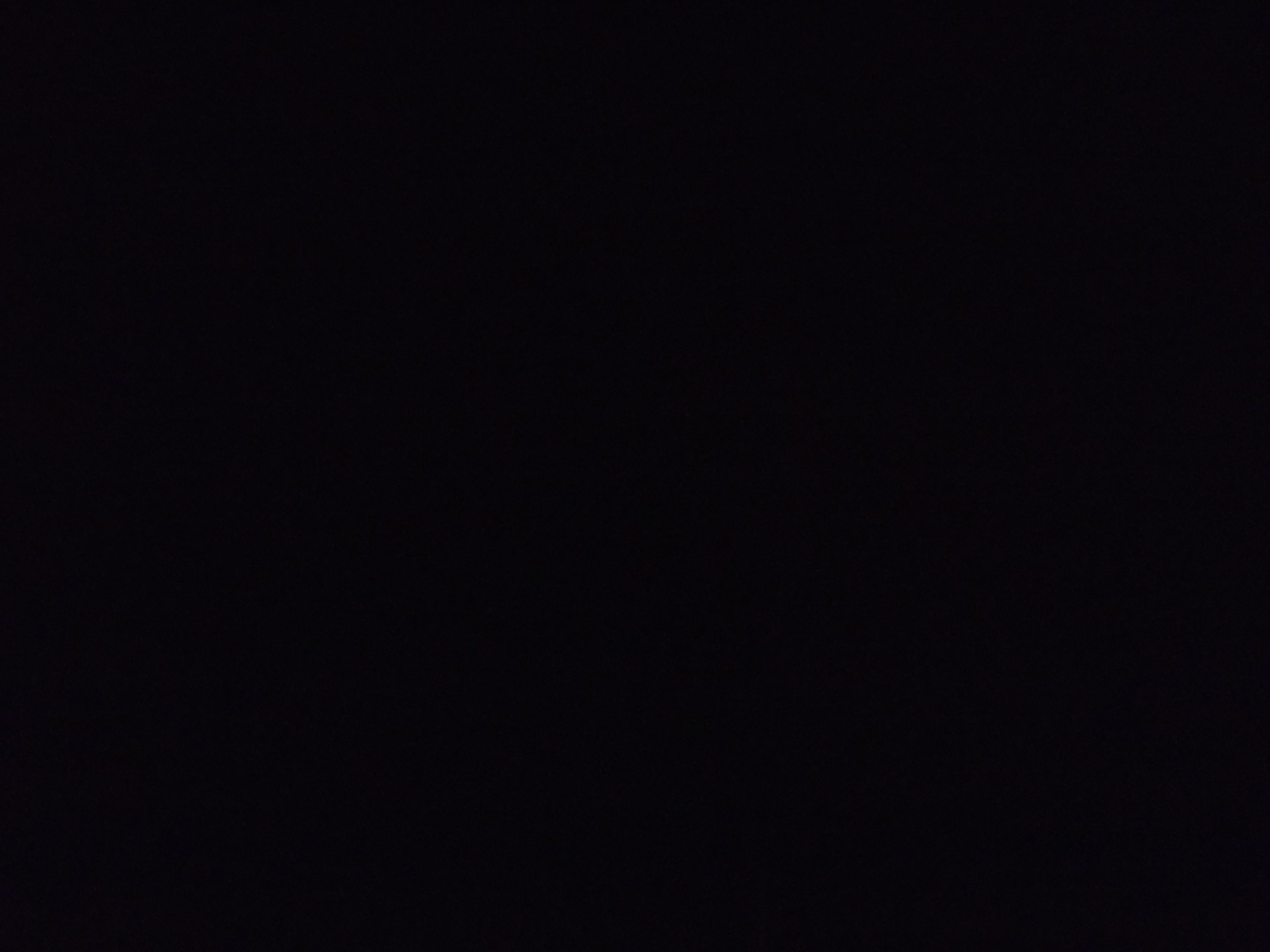 2011-11-17 04:05:49