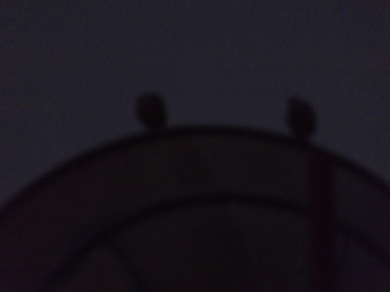 2011-11-17 04:46:33