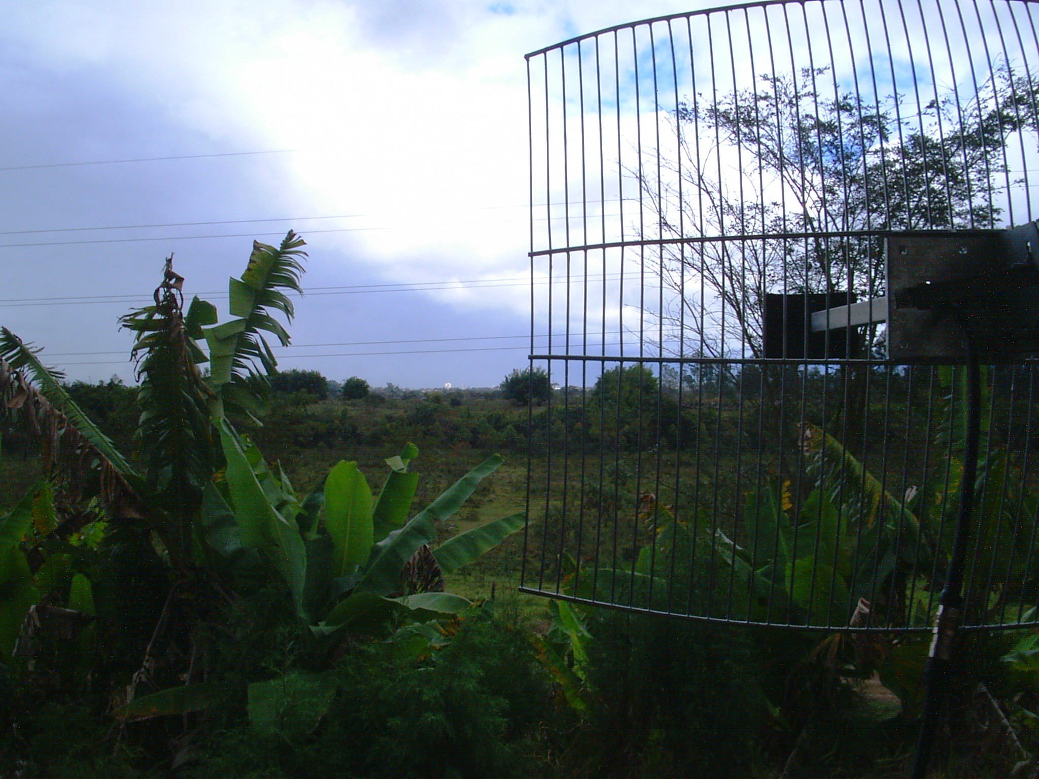 2005-07-08 11:58:16