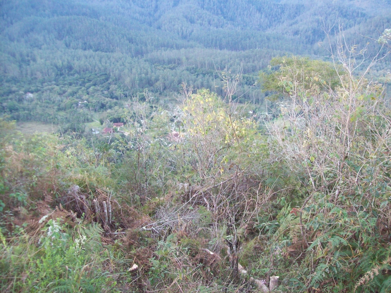 2007-01-01 12:02:06