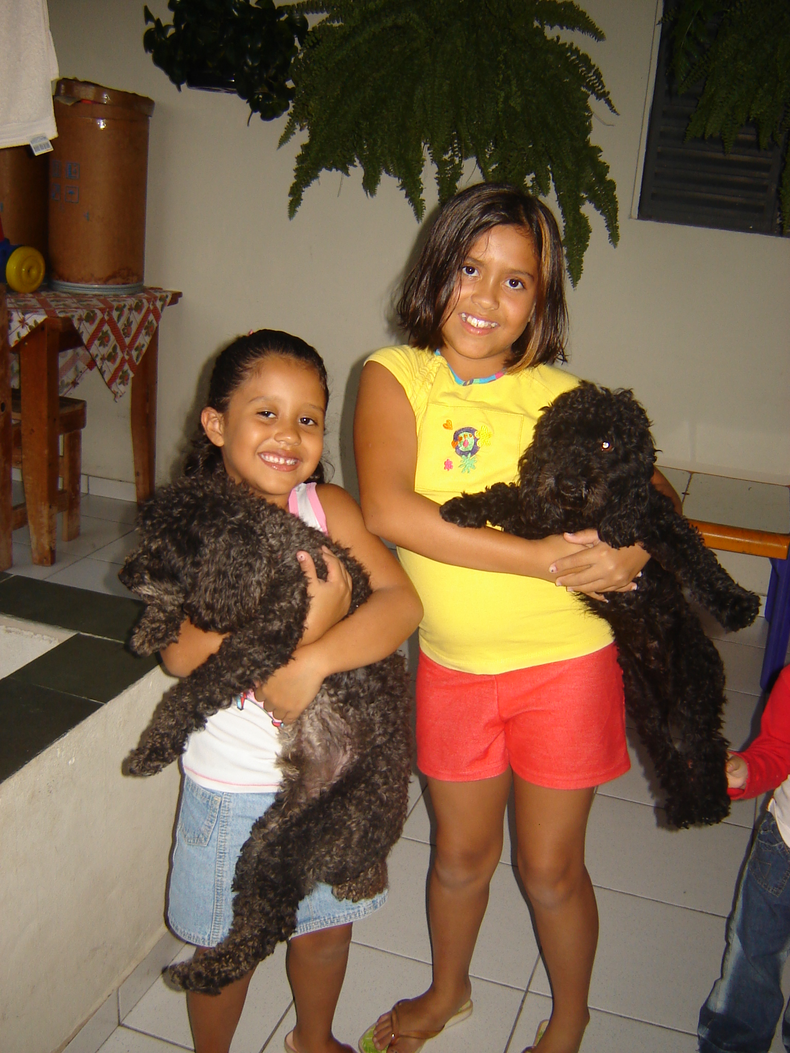 2005-11-28 19:23:51
