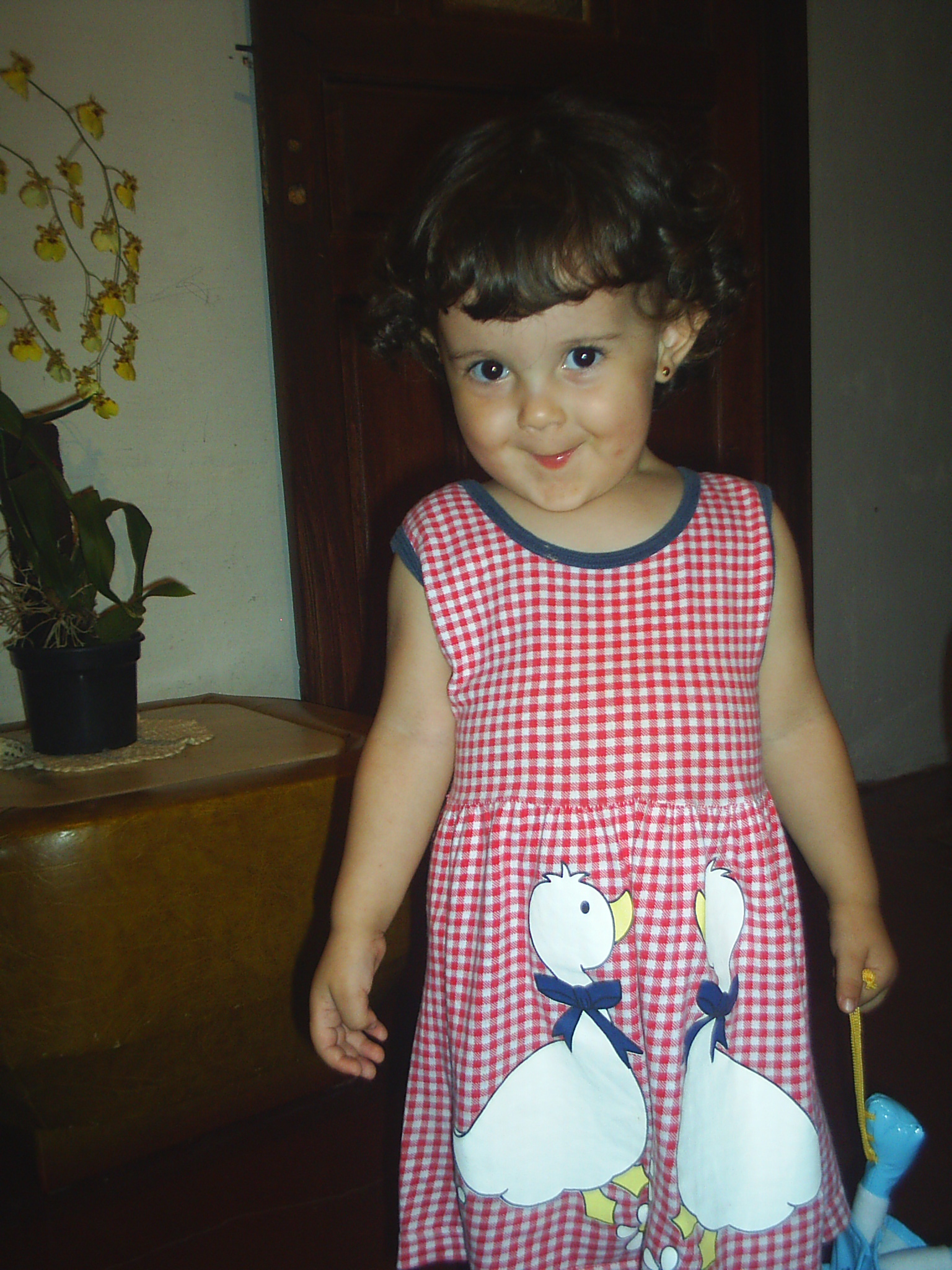 2005-02-24 19:06:17