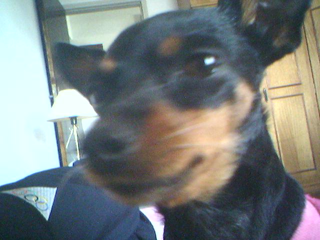 08-06-06_1444.jpg