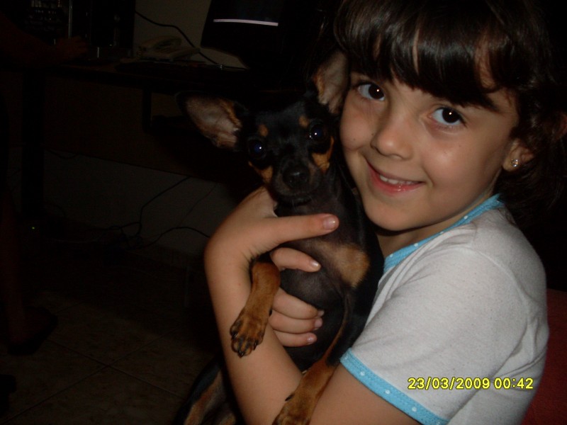2009-03-23 00:42:15