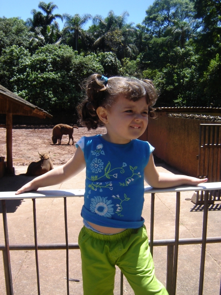 2005-11-27 11:23:14