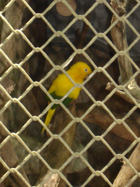 2005-11-27 12:00:25