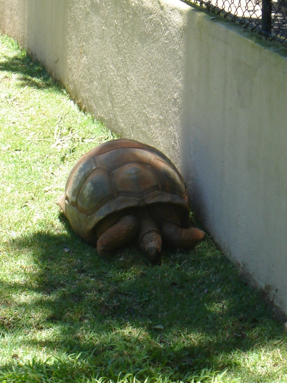 2005-11-27 12:25:23