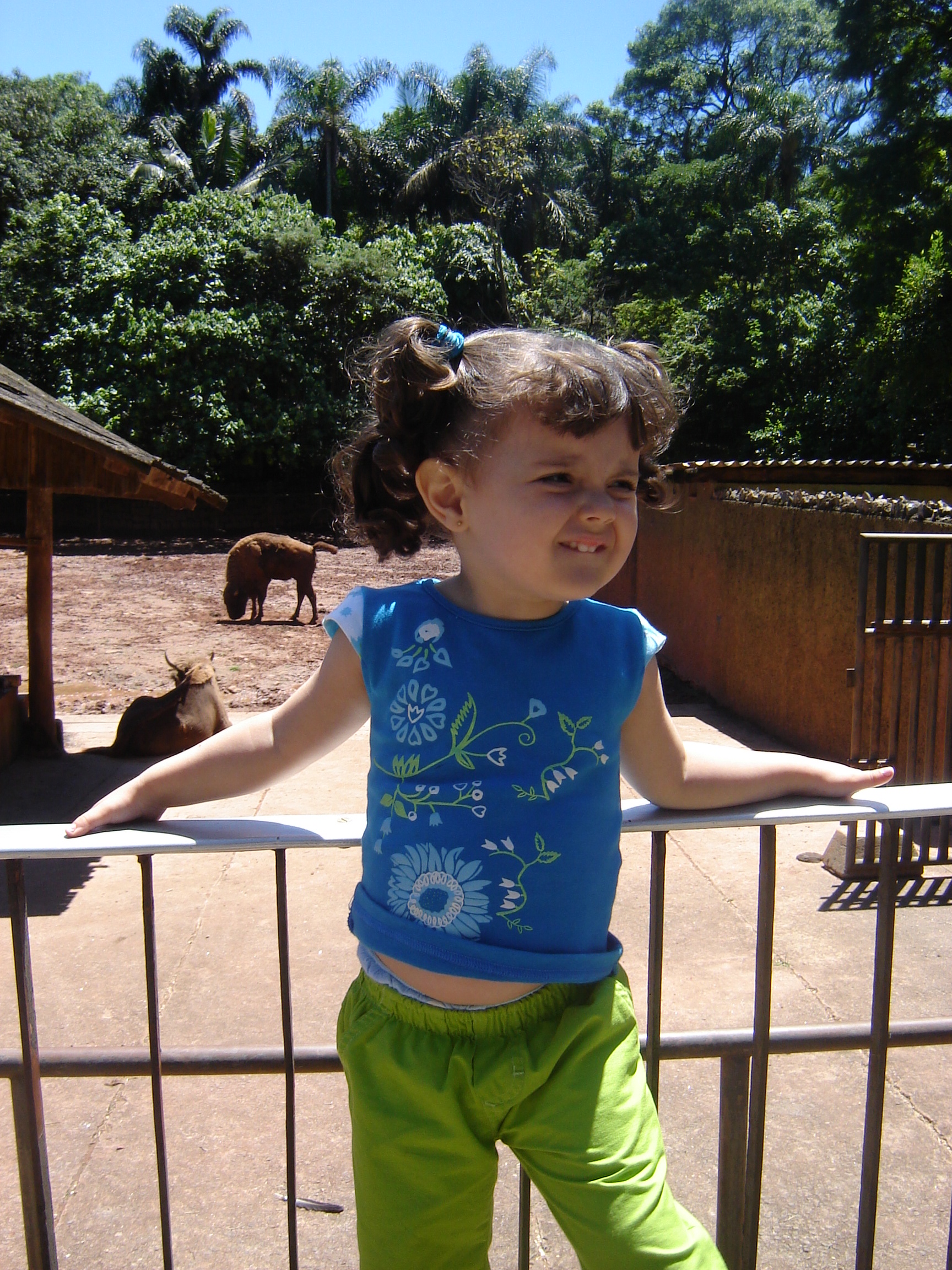 2005-11-27 11:23:14