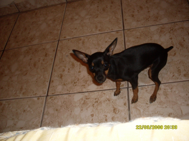 2009-03-22 20:33:08