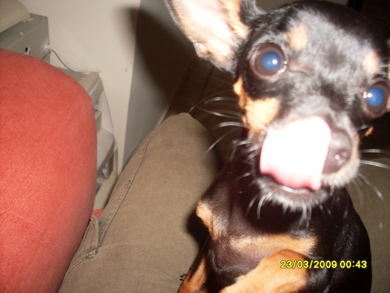 2009-03-23 00:43:07