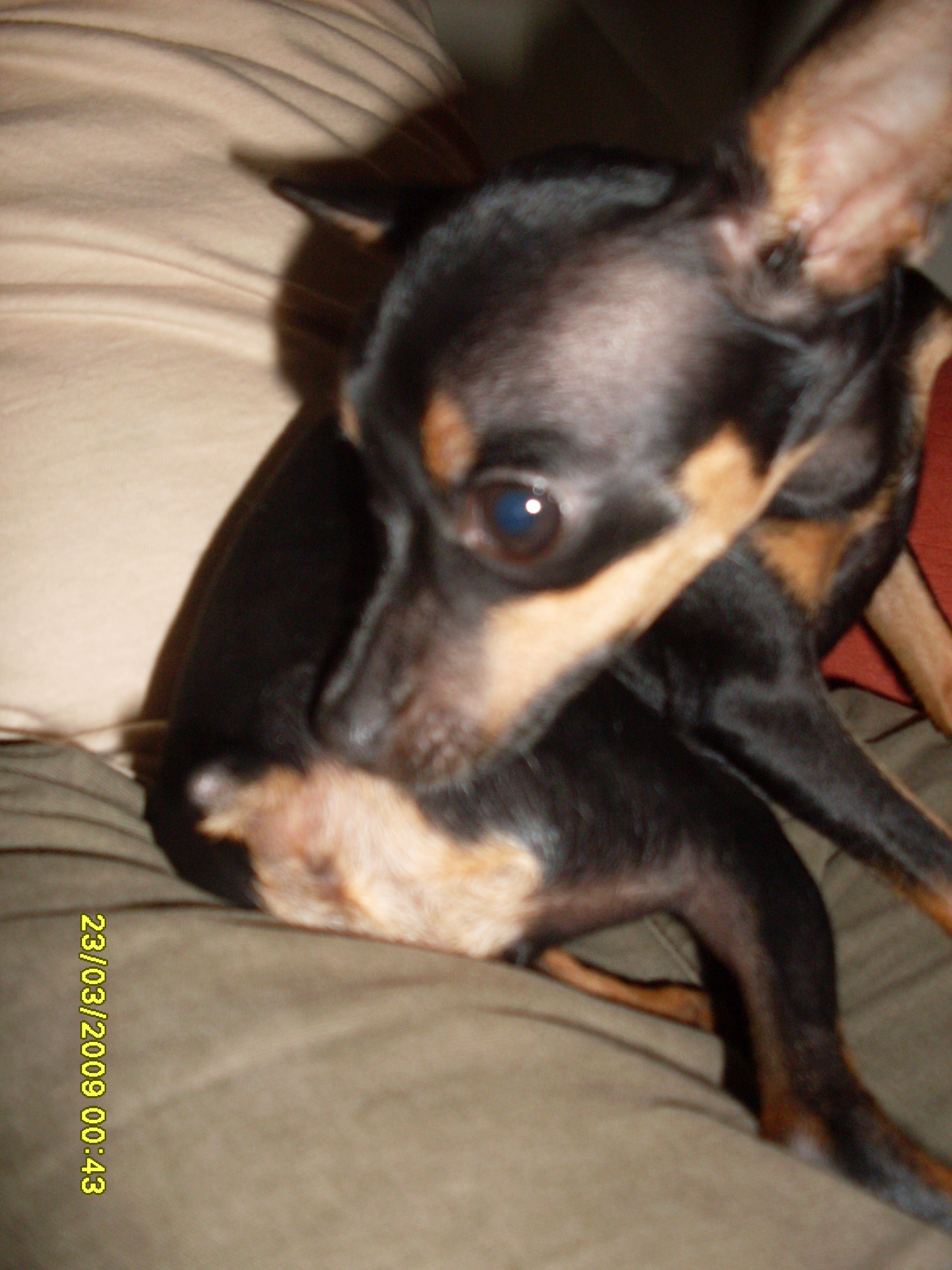 2009-03-23 00:43:33