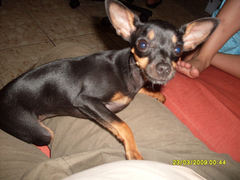 2009-03-23 00:44:32