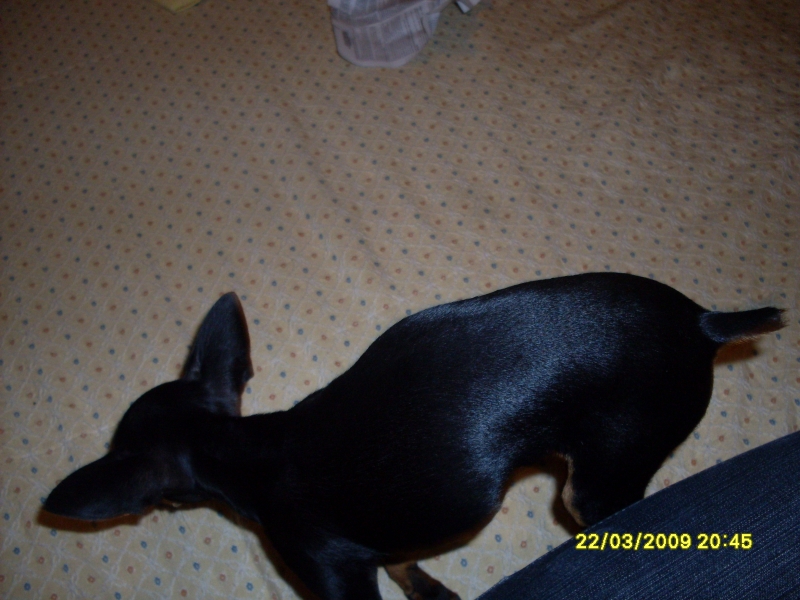 2009-03-22 20:45:22