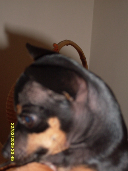 2009-03-22 20:45:38