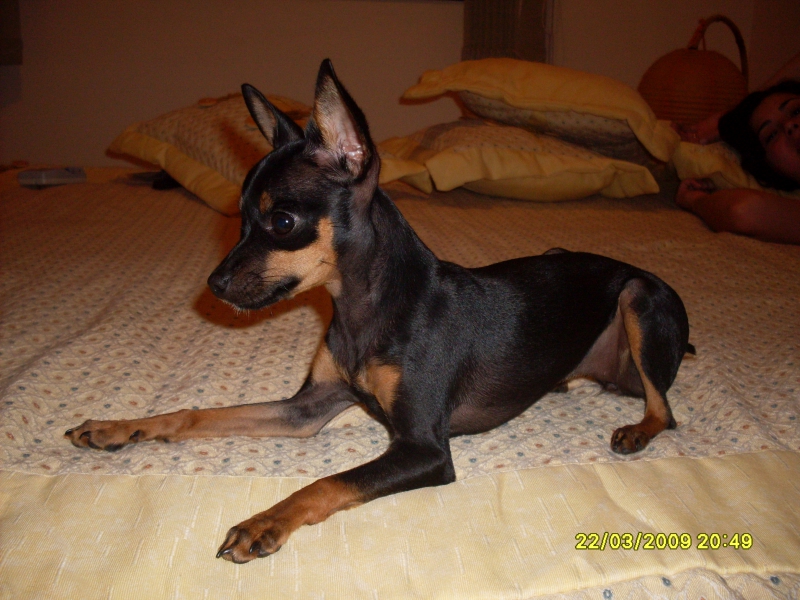 2009-03-22 20:49:37