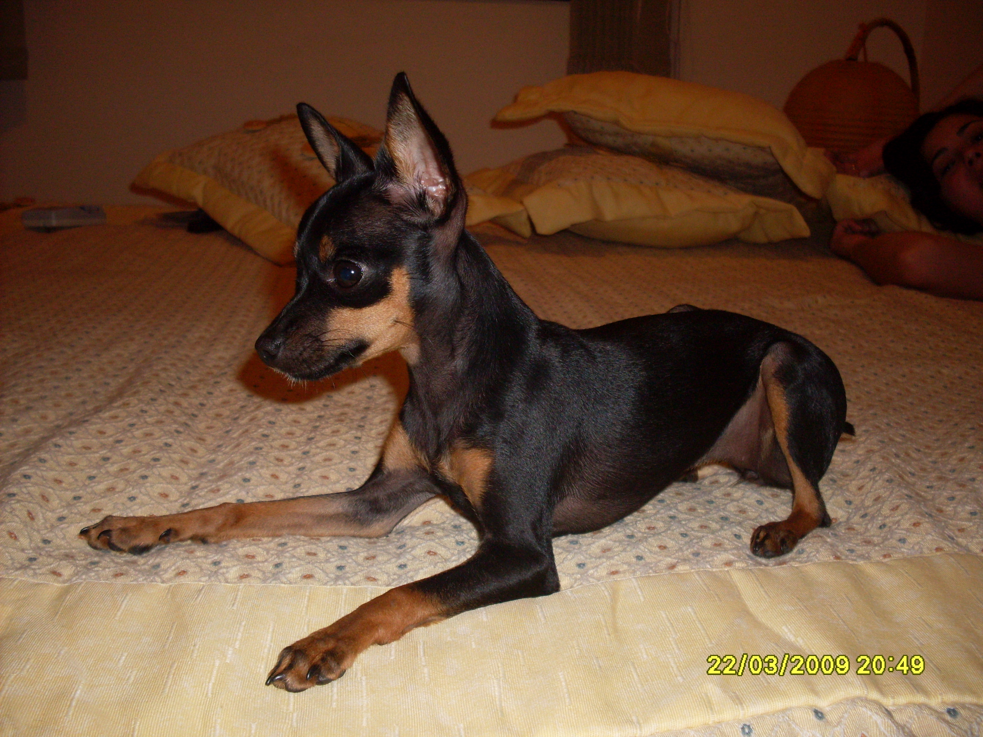 2009-03-22 20:49:37