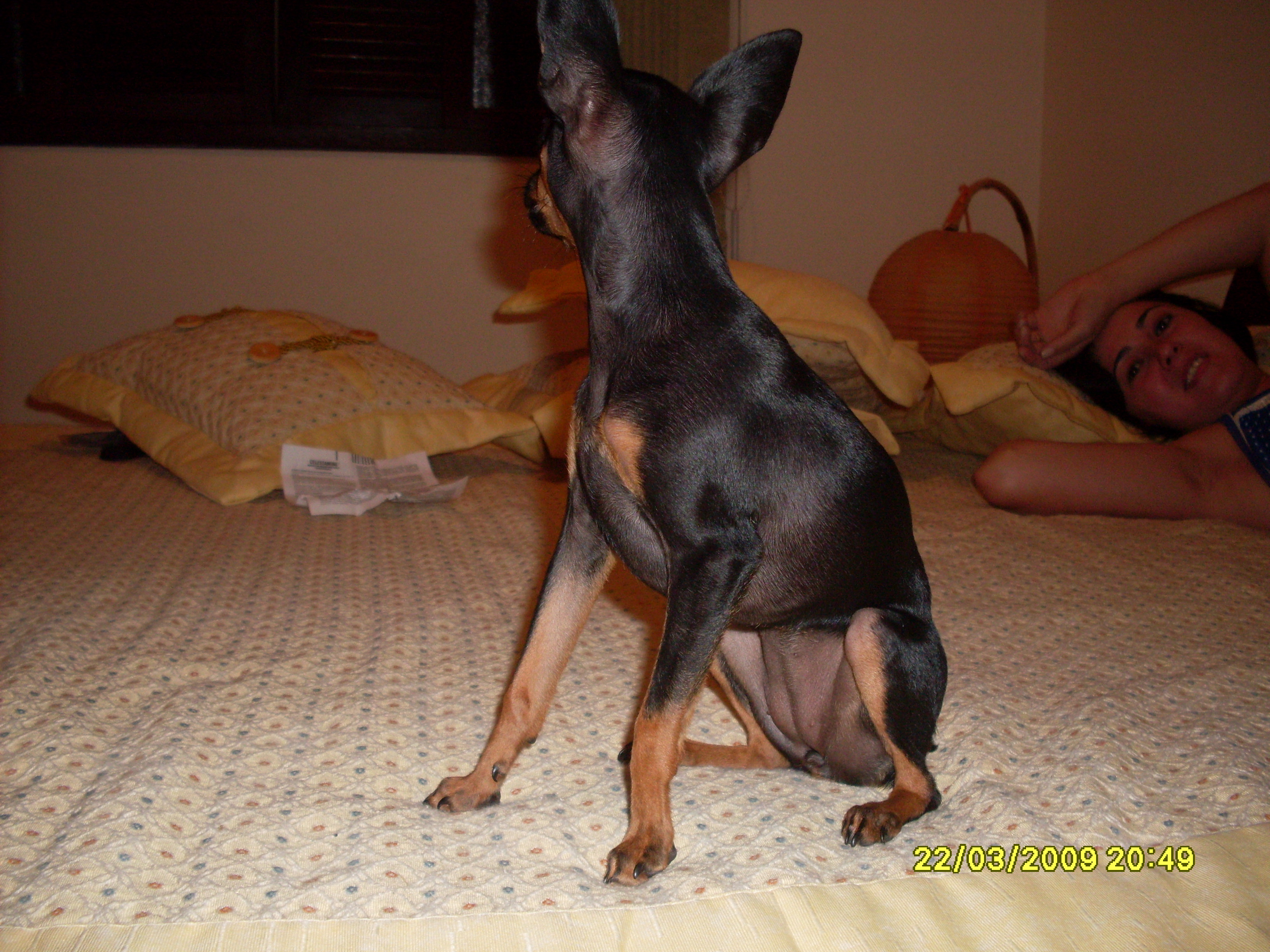 2009-03-22 20:49:53