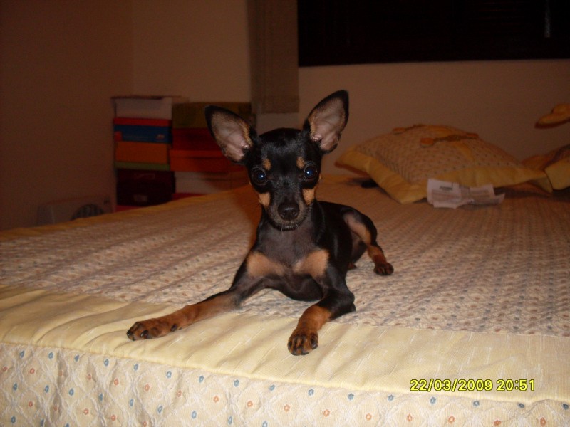 2009-03-22 20:51:12
