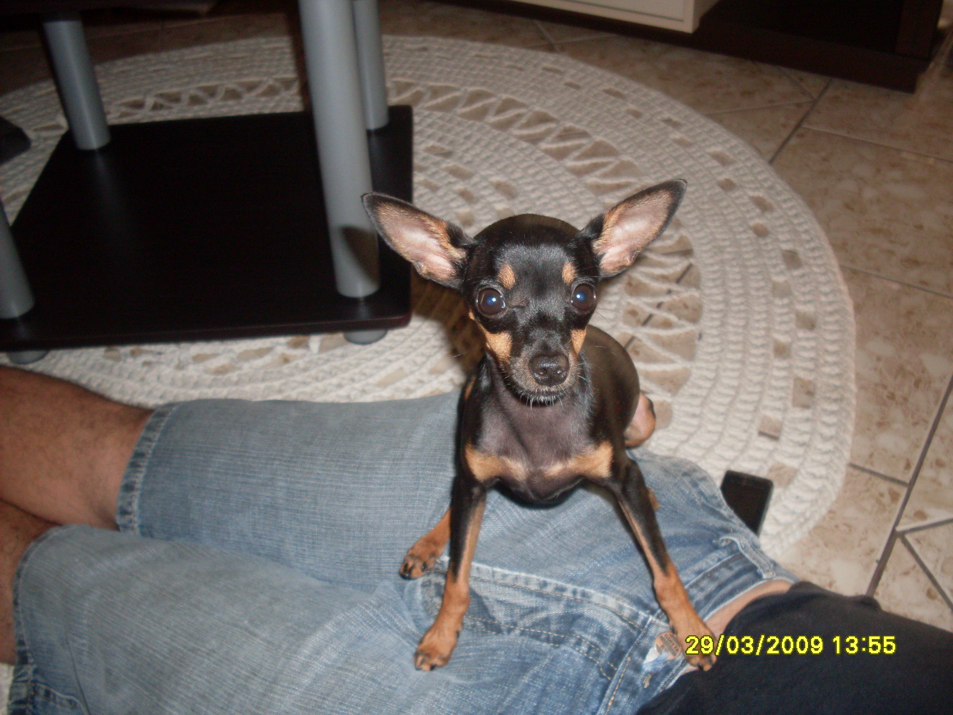 2009-03-29 13:55:49