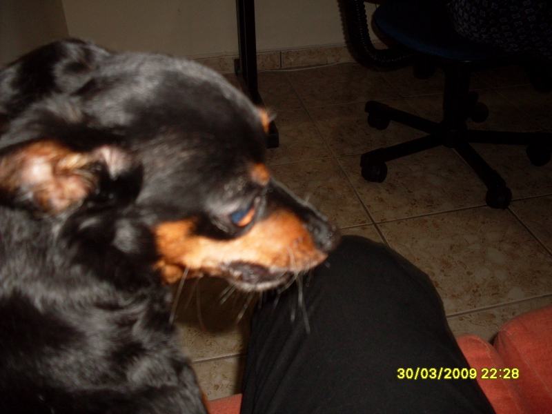 2009-03-30 22:28:58