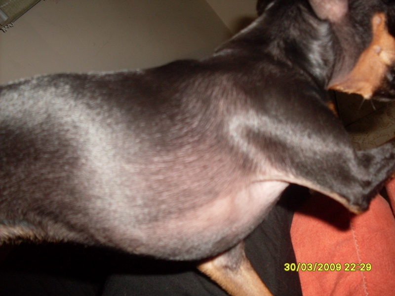 2009-03-30 22:29:13