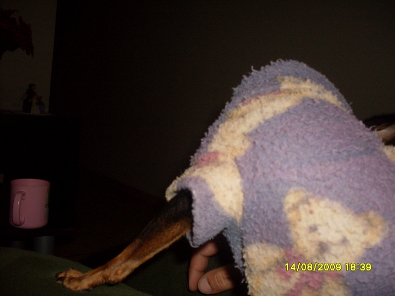 2009-08-14 18:39:08