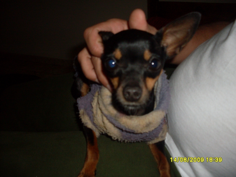 2009-08-14 18:39:44