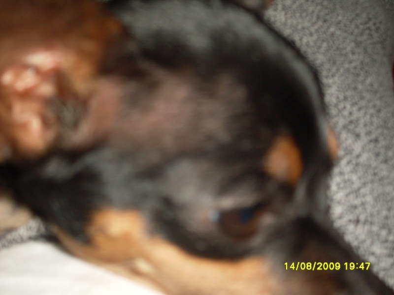 2009-08-14 19:47:57