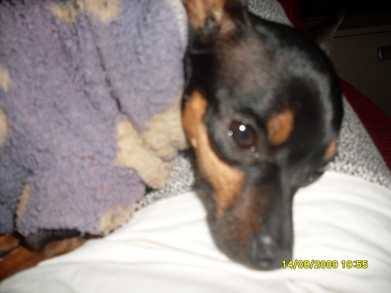 2009-08-14 19:55:34