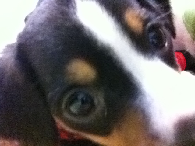 2011-06-24 09:44:31