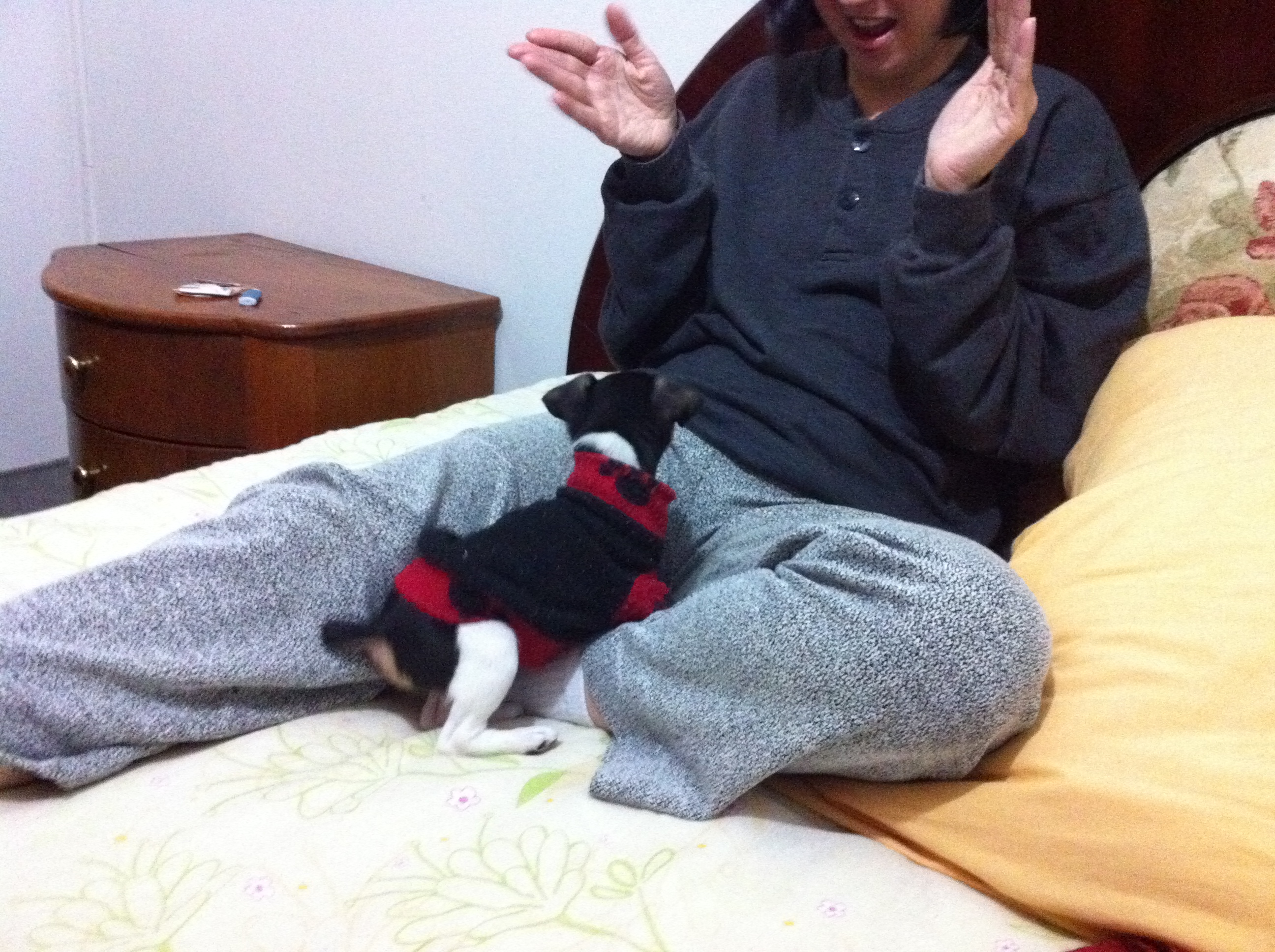 2011-07-04 21:03:32