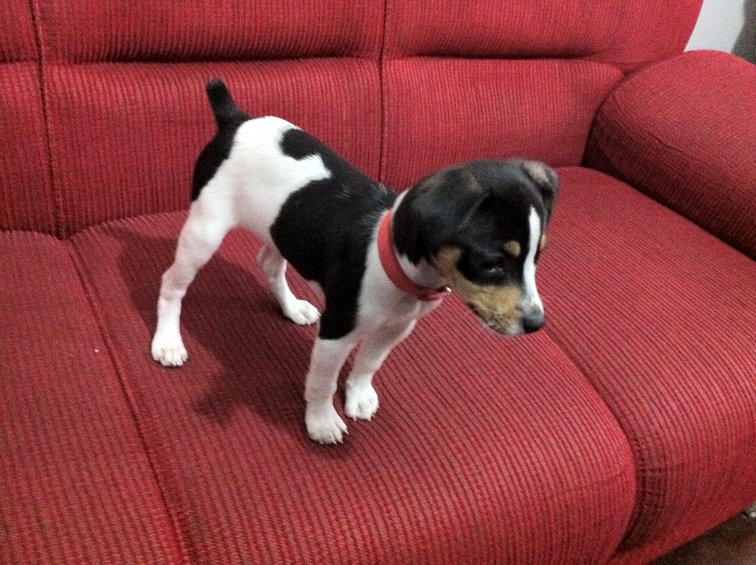 2011-07-31 17:47:18