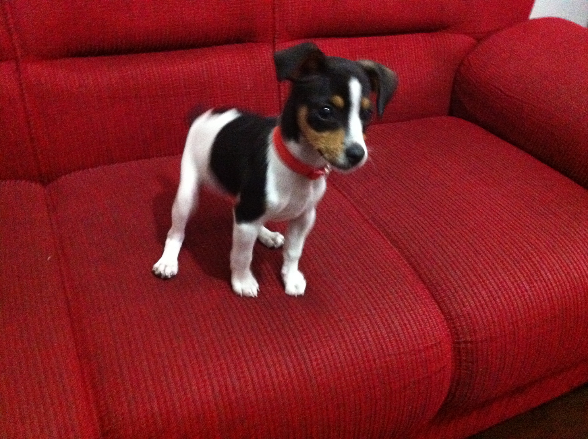 2011-07-31 17:47:27