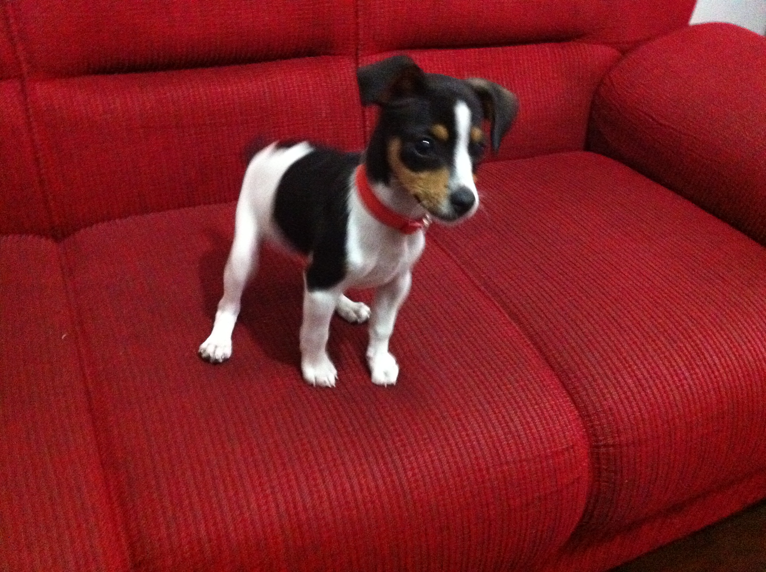2011-07-31 17:47:27