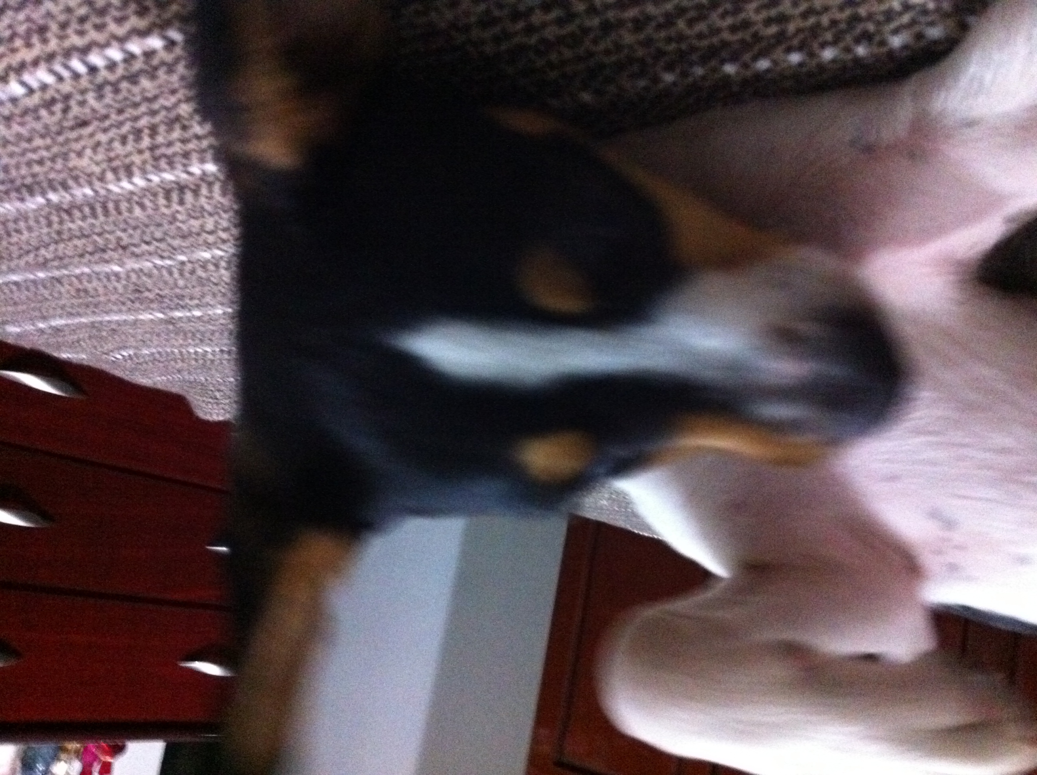 2011-09-19 19:15:52