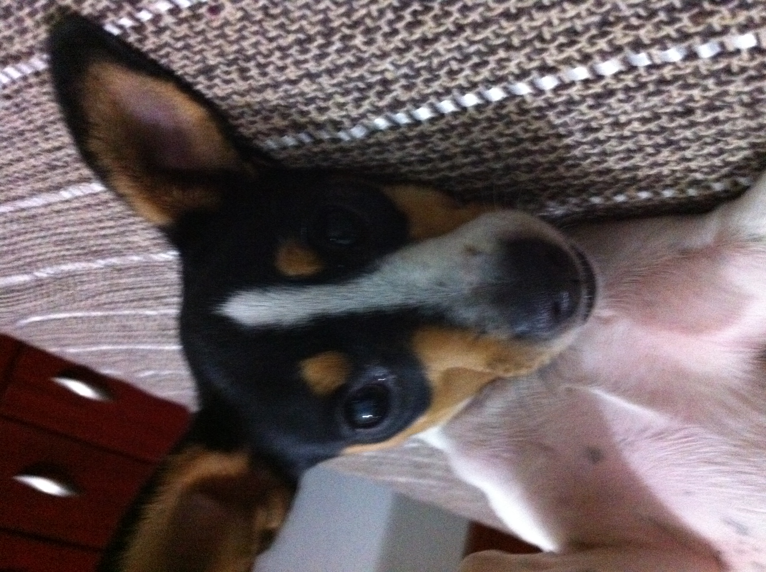 2011-09-19 19:15:56