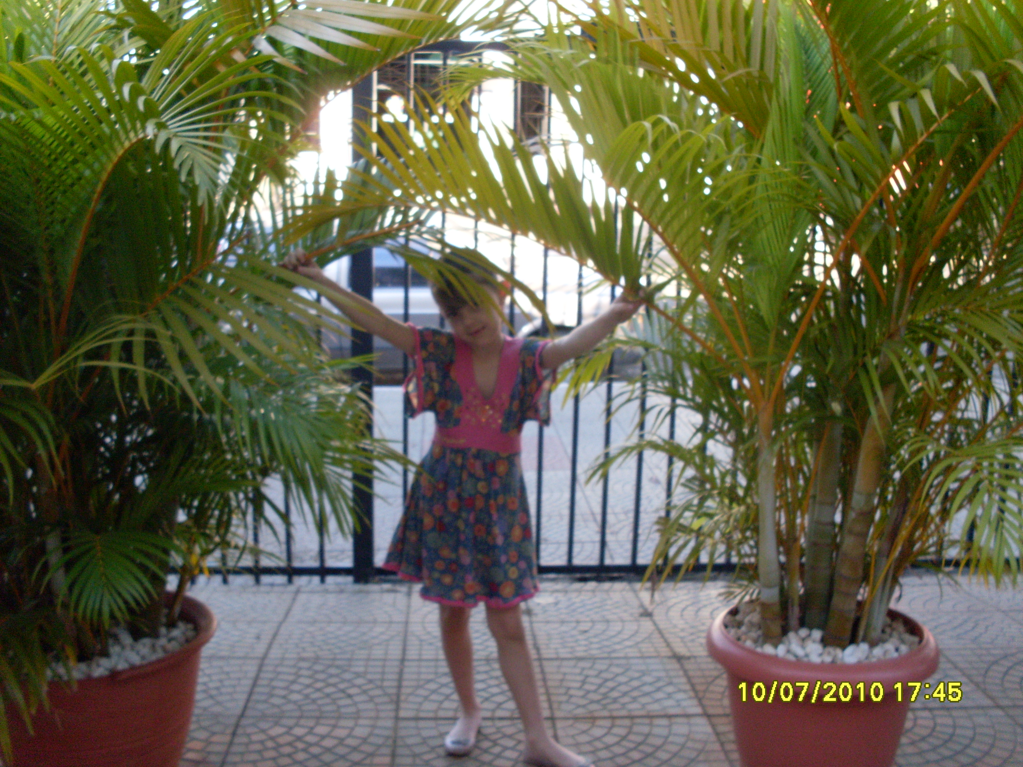 2010-07-10 17:46:02