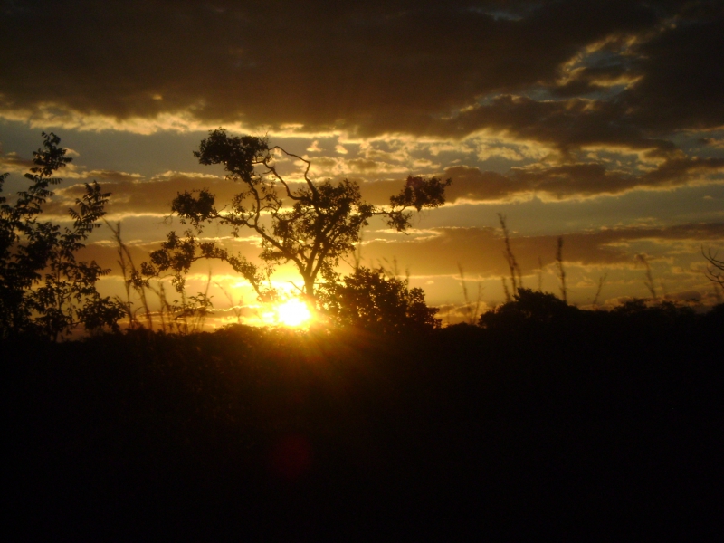 2011-07-15 18:48:36