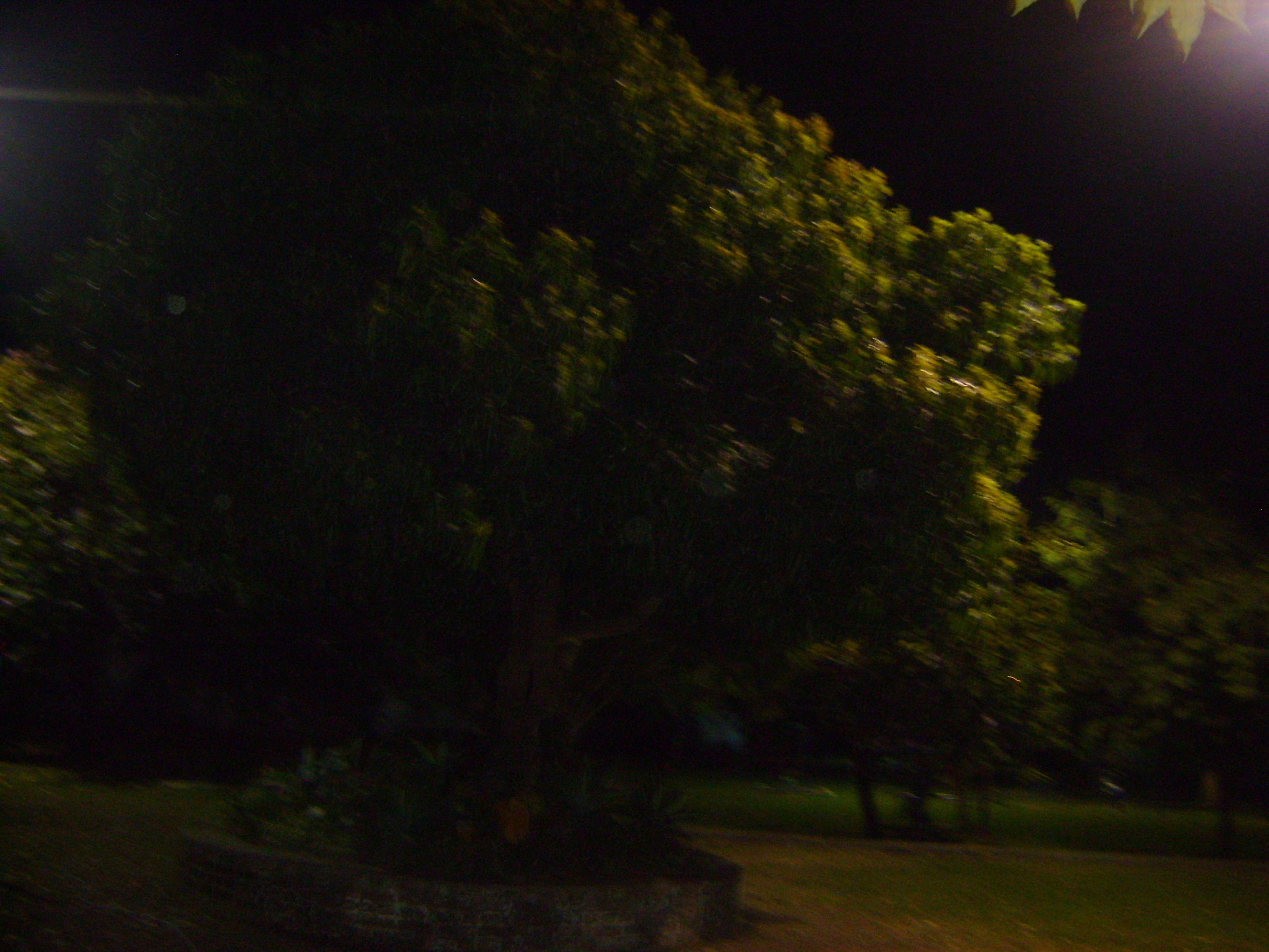 2011-07-17 22:24:59