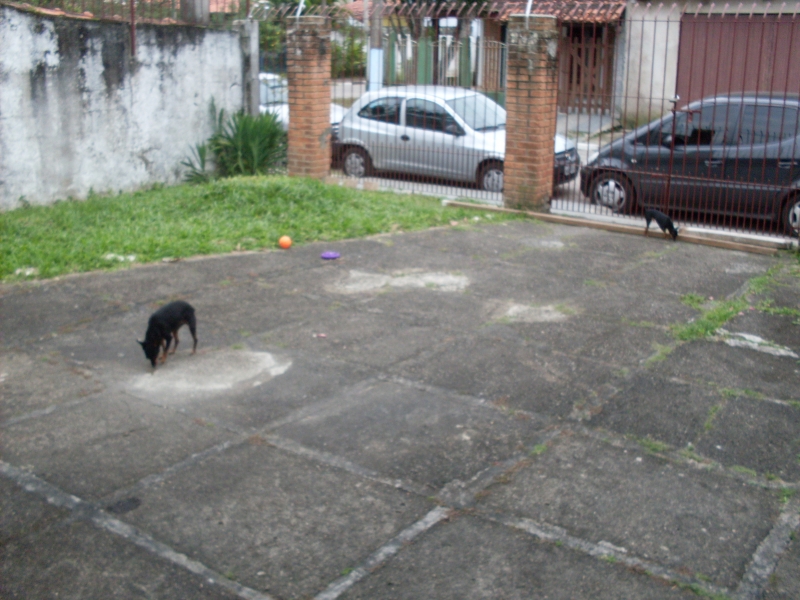 2010-10-23 14:33:59