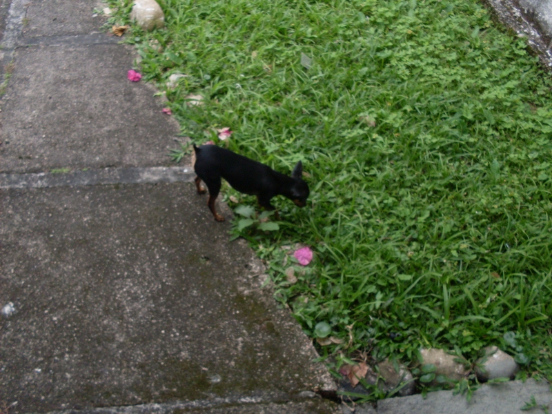 2010-10-23 14:34:18