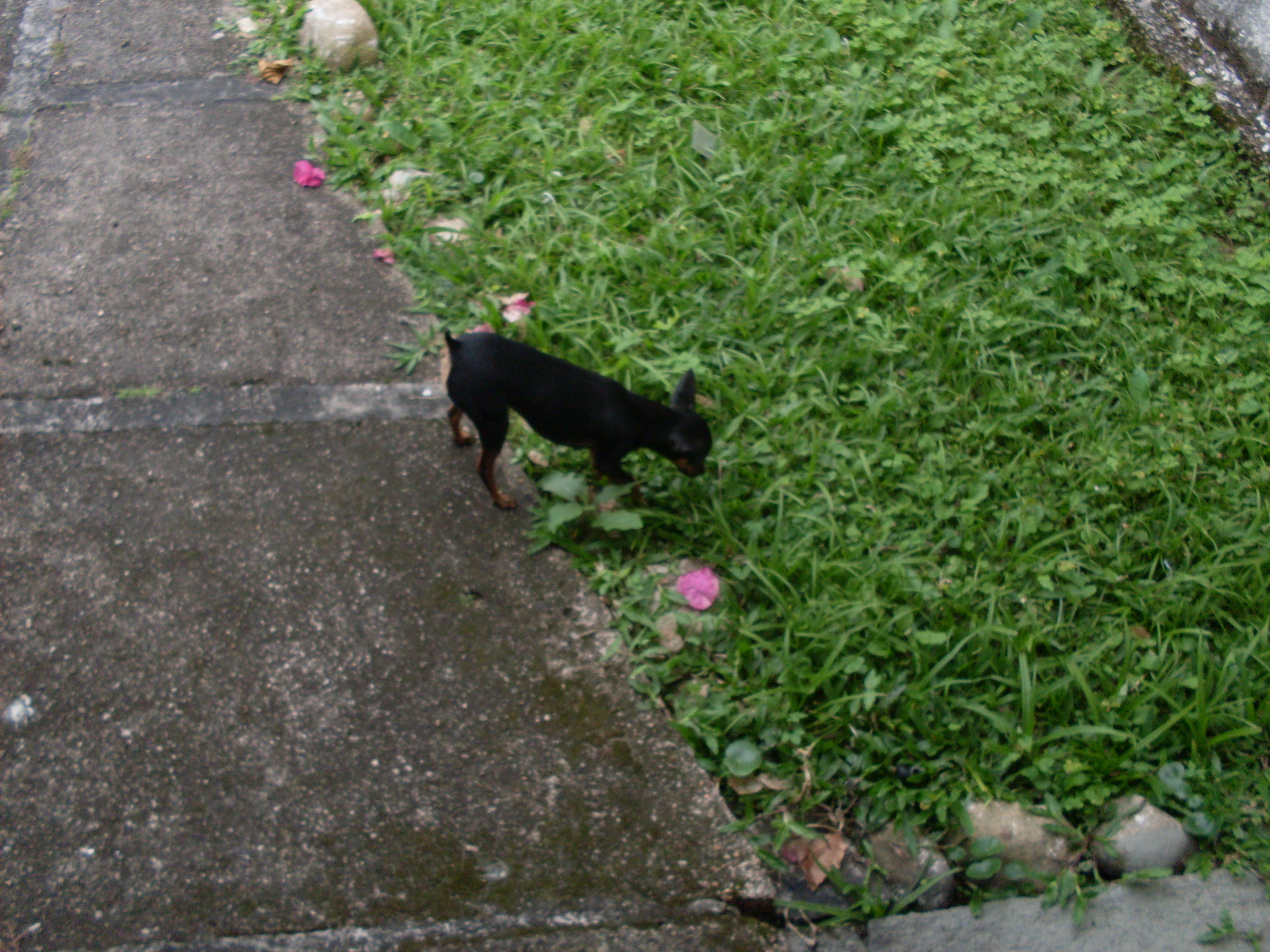 2010-10-23 14:34:18