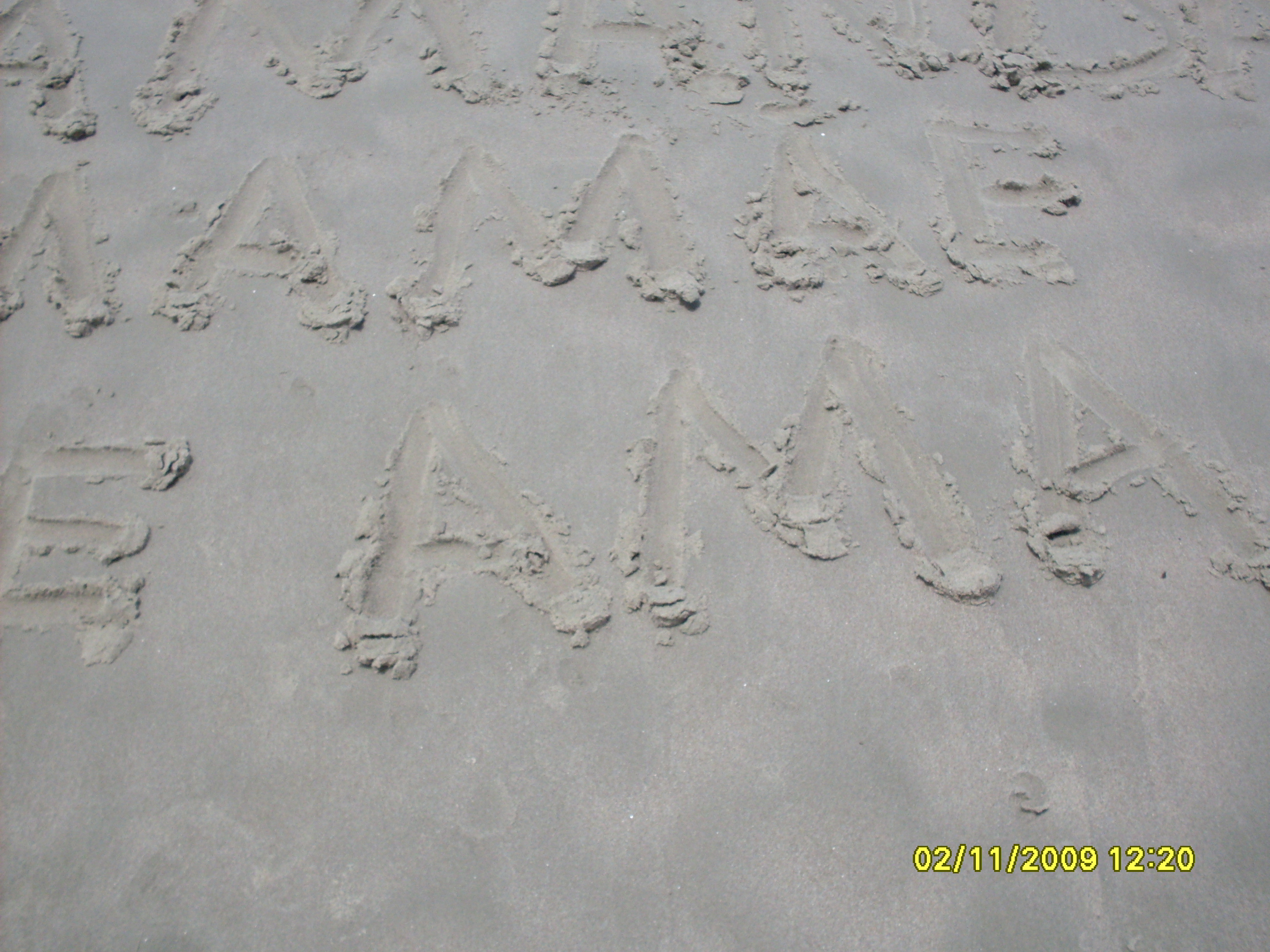 2009-11-02 12:20:39