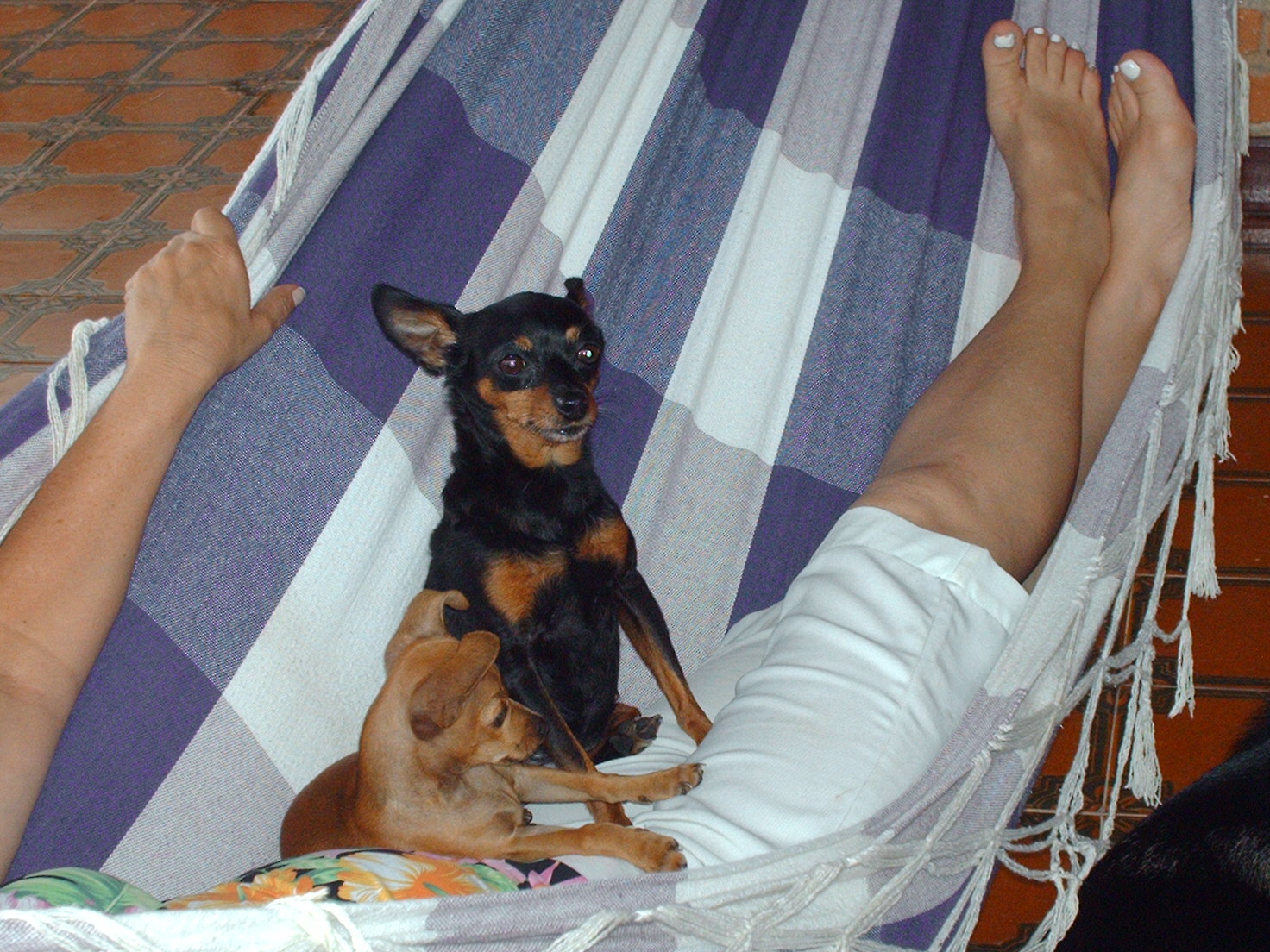 2005-02-06 01:40:40