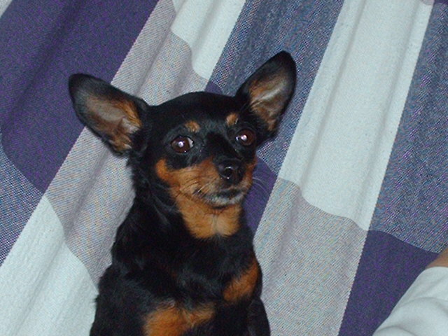 2005-02-06 01:45:37