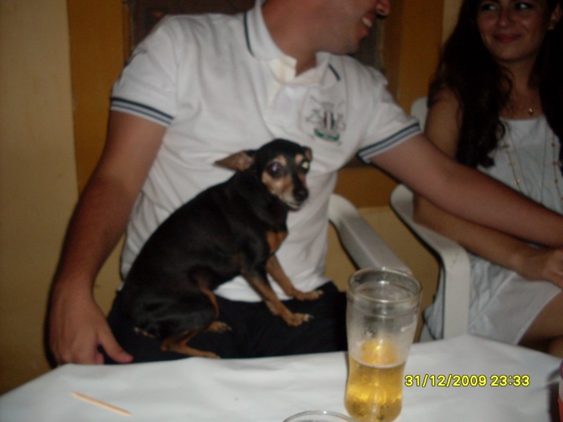 2009-12-31 23:33:19